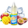 Fruizee 20mg esalt sel de nicotine 10ml magic beach