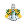 Le petit verger frais savourea 50ml ananas mangue
