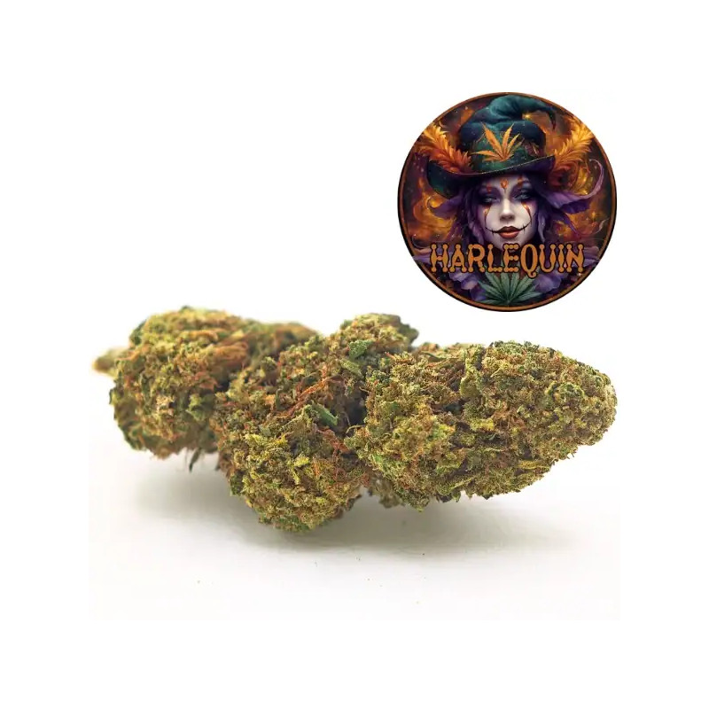 Pot 5grs fleurs - connection - cbd harlequin premium