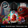 Le charmeur mix de fruits rouges pointe de cerise frais - belgi'ohm