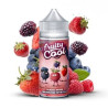 Fruity cool fraise mure framboise myrtille
