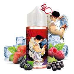 Fighter fuel liquide 100ml seiryuto