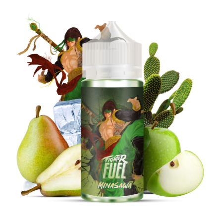 Fighter fuel liquide 100ml minasawa