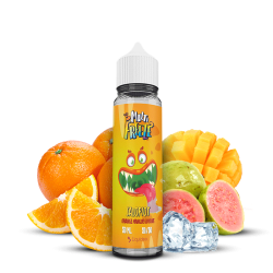 Freeze / multi freeze liquideo 50ml salopiot orange mangue goyave