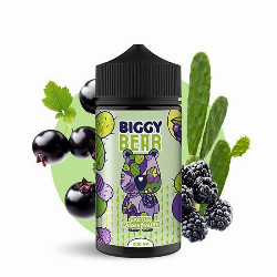 Cactus Cassis Mûre 200ml - Biggy Bear - 0mg