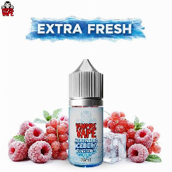 DESTOCK Heisenberg Gum Ice 50ml - Vampire Vape - 0mg