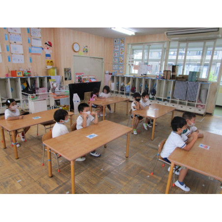 Chapo blunt de chanvre fraise kiwi