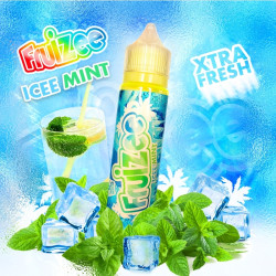 Fruizee max 50ml menthe givree