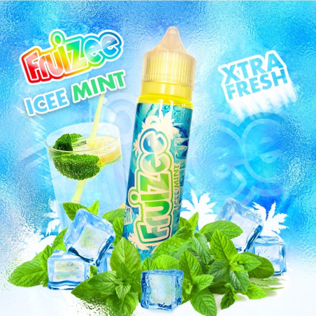 Fruizee max 50ml menthe givree
