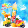 Fruizee max 50ml triple mangue